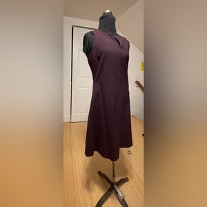 Burgundy classic Theory fit and flare wool dress